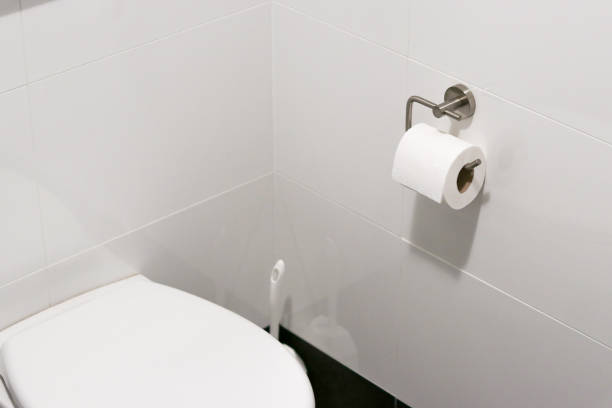istock White toilet paper roll hanging on a modern chrome holder in bathroom 2153114686