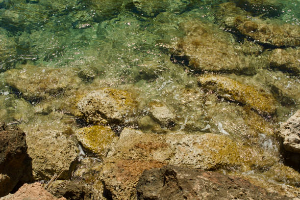Rocks under seawater with green hints