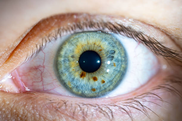 istock Female Blue-Green Colored Eye with brown pigment spots. Pupil Opened. Close Up. Structural Anatomy. Human Iris Macro Detail. 2153124554