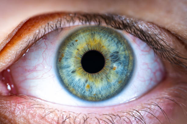 istock Female Blue-Green Colored Eye with brown pigment spots. Pupil Opened. Close Up. Structural Anatomy. Human Iris Macro Detail. 2153124724