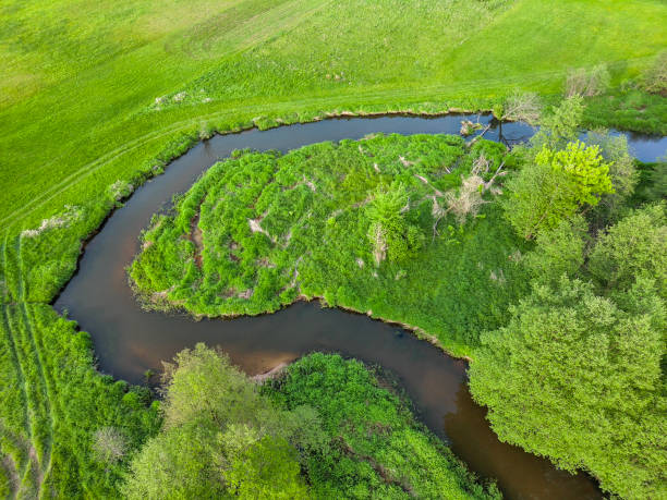 istock A small wild river in central Poland. 2153124725