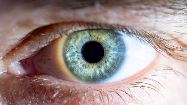 istock Male Blue-Green Colored Eye With Lashes. Pupil Opened. Close Up. Structural Anatomy. Human Iris Macro Detail. 2153124784
