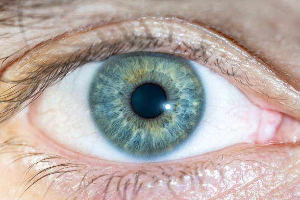 istock Male Blue-Green Colored Eye With Lashes. Pupil Opened. Close Up. Structural Anatomy. Human Iris Macro Detail. 2153124834