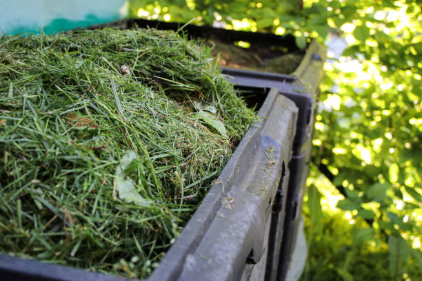 istock Garden waste compost bin with green mowing grass, outdoors in the garden 2153126815