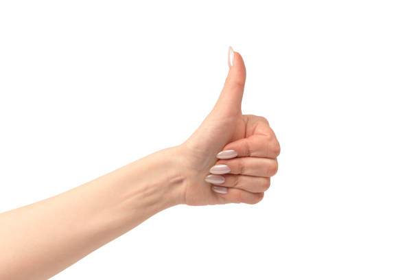 istock Woman hands  isolated on a white background. 2153129845