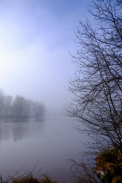 Dark spooky landscape showing old forest and river on a winter day.