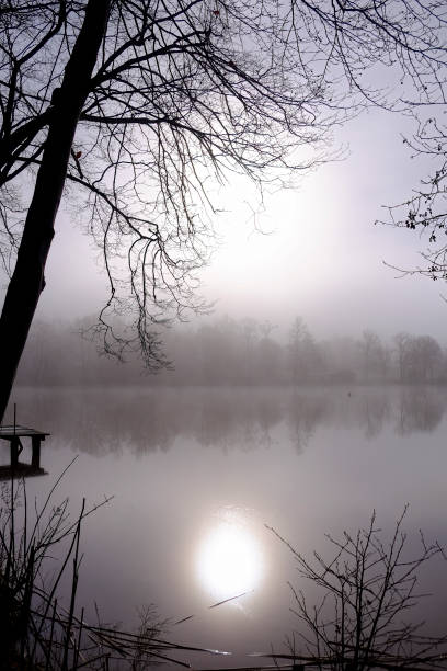 Mist over a woodland lake on a cold winter morning