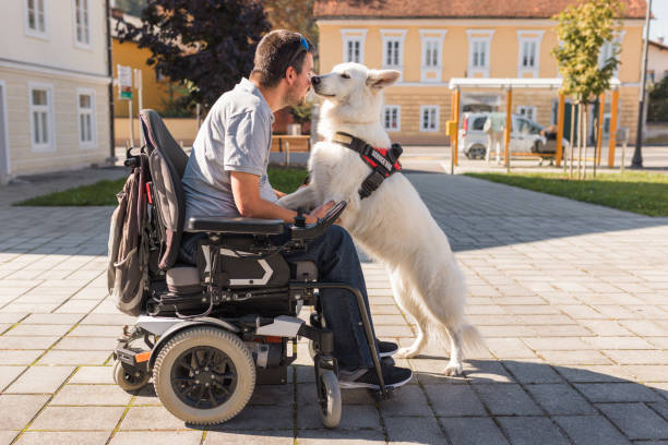 istock Man with disability with his service dog using electric wheelchair. 2153135808