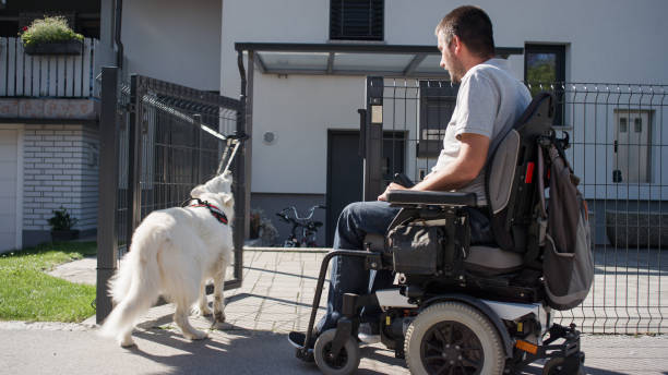 istock Service dog responding to commands from his owner closing the door 2153135847