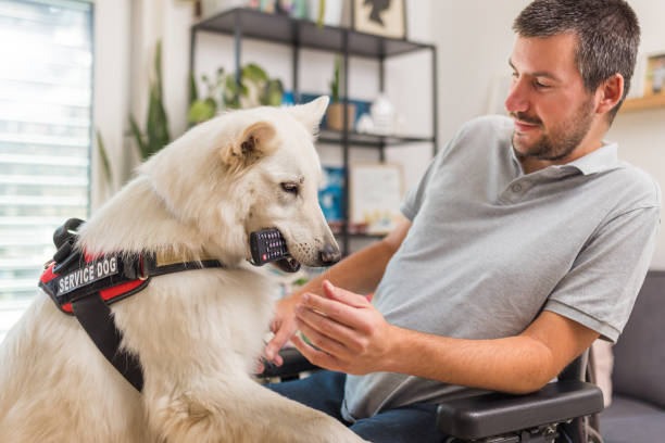 Man in a wheelchair with his service dog