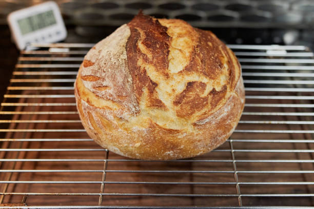 istock appetizing home made loaf of bread cooling on the countertop 2153136395