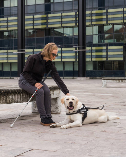 istock Blind or visually impaired woman resting with a guide dog on the bench 2153141522