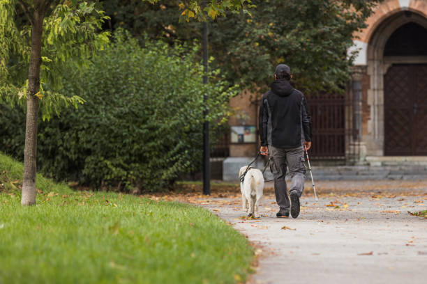 istock Blind man taking a walk in a city park with her trained guide dog 2153143137