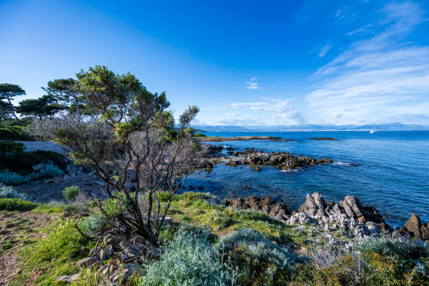 istock Side view near Antibes from the beach with a tree in front 2153143769