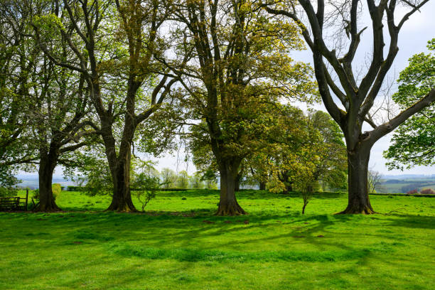The Cotswolds region was designated as an Area of Outstanding Natural Beauty (AONB).