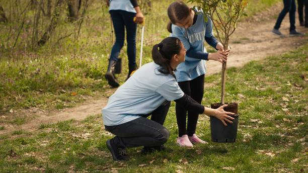 istock Climate activists planting new trees in a woodland ecosystem 2153149431