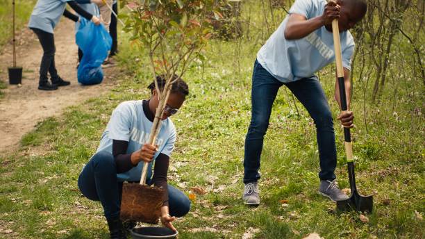 istock African american ecologic activists planting seedlings in a forest environment 2153149461