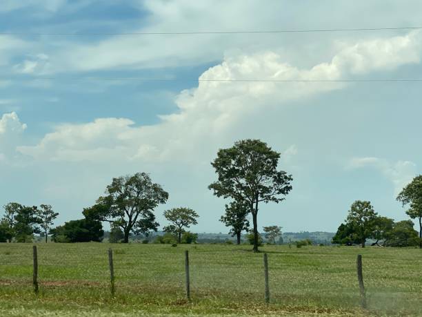 istock travel landscape Mato Grosso do Sul 2153150933
