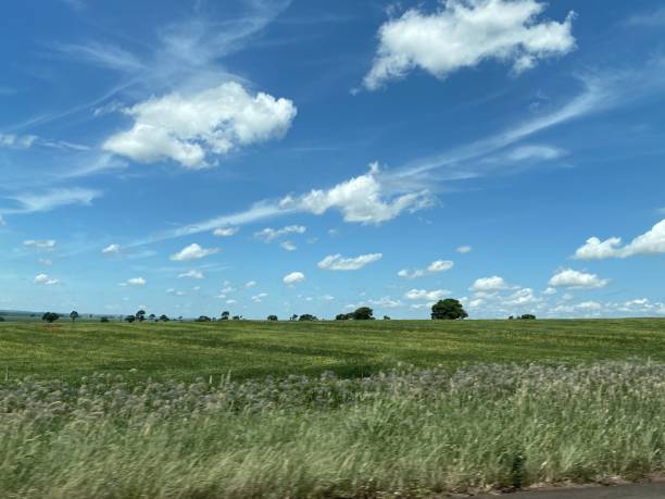 istock travel landscape Mato Grosso do Sul 2153151028