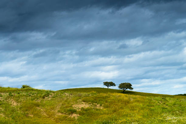 Two trees on the skyline in an Alentejo landscape on a cloudy spring day. Dark, ominous clouds overhead predict an imminent rainstorm. The rolling hills are typical of the upper Alentejo region, which is a sparsely populated, mostly agricultural region in Portugal.