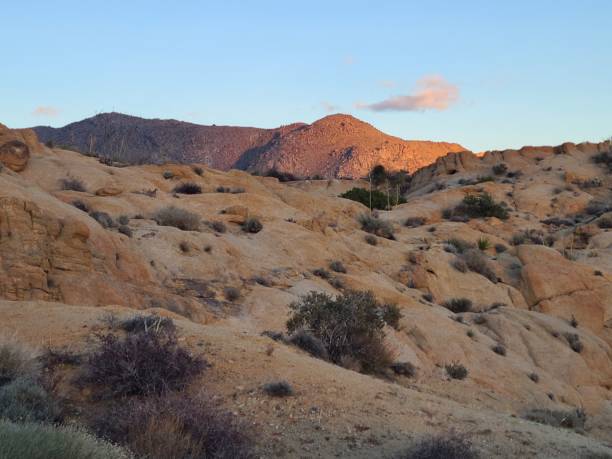 istock Last light in Joshua Tree National Park, California 2153154788