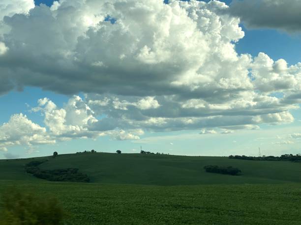 istock landscape with plantations 2153154972
