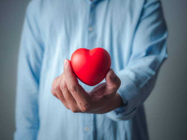 istock Heart in left hand. Man holding heart shape toy and while standing against grey background, Cardiology, health planning, insurance healthcare and medical concept. 2153158528