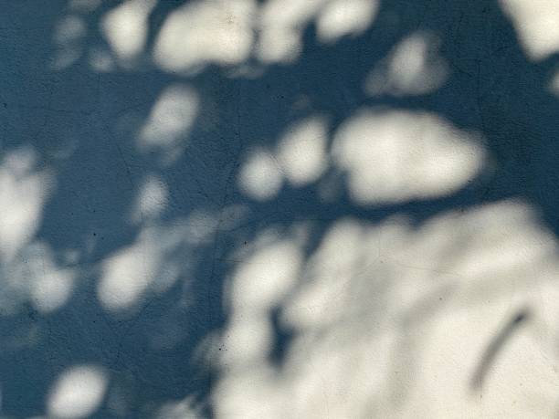 istock abstract background texture of old cement wall 2153160997