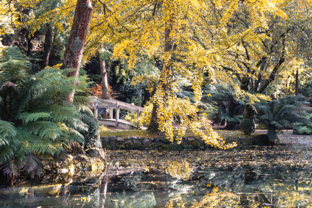 istock Alfred Nicholas Memorial Gardens in Australia 2153164079