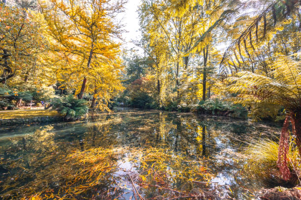 istock Alfred Nicholas Memorial Gardens in Australia 2153164183