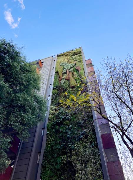 istock Sustainable building in Buenos Aires city 2153165909