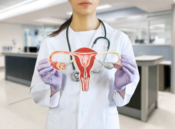 istock Gynecologist showing an ovary model 2153167552
