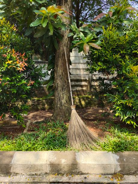 Photo about Broomstick Resting Against Tree in Garden, Recently Used