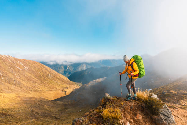 istock She reached to the top, freedom concept. 2153169109