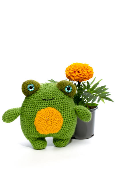 istock The frog is a soft knitted wool toy made of wool on a white background 2153169912