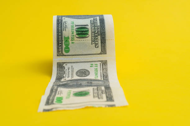 American one hundred dollar pattern on the toilet paper.