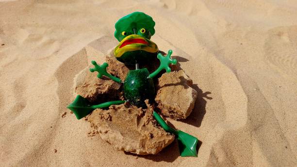istock Toy frog lies on the sand 2153173398