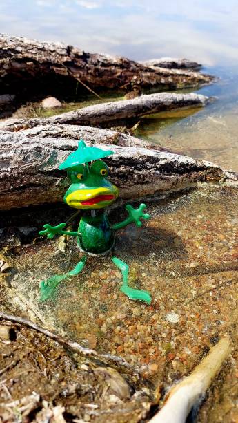 frog toy in the water on the beach