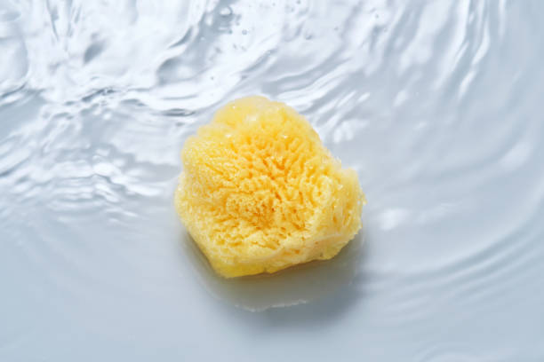 istock Natural sponge on a blue background with water. 2153176263