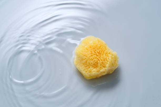 istock Natural sponge on a blue background with water. 2153176405