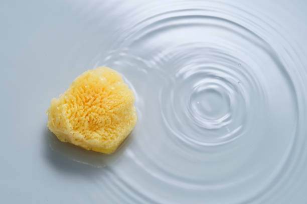 istock Natural sponge on a blue background with water. 2153176477