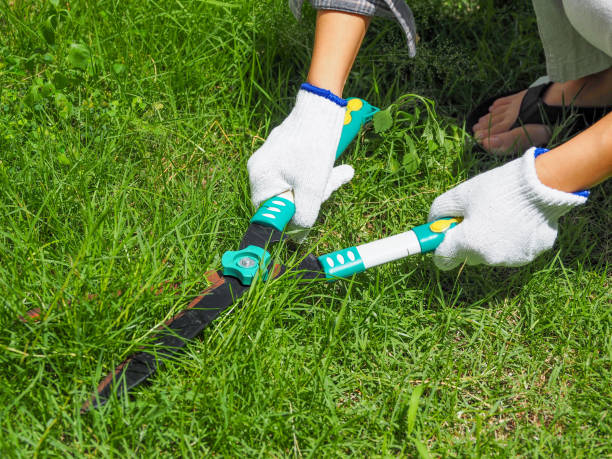 istock Cutting grass with grass clippers in the lawn 2153179543