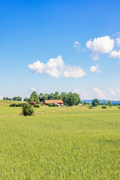 istock View at a rural landscape a sunny summer day 2153180931