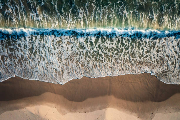 istock Textured foamy waves washing along a sandy beach on sunrise captured from above 2153181841