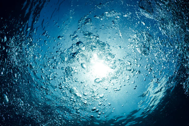 Looking up at bubbles rising to the surface from the deep blue sea