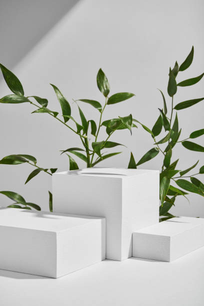 istock Geometric White Catwalks in Contemporary Presentation Space Adorned With Green Plants 2153192934