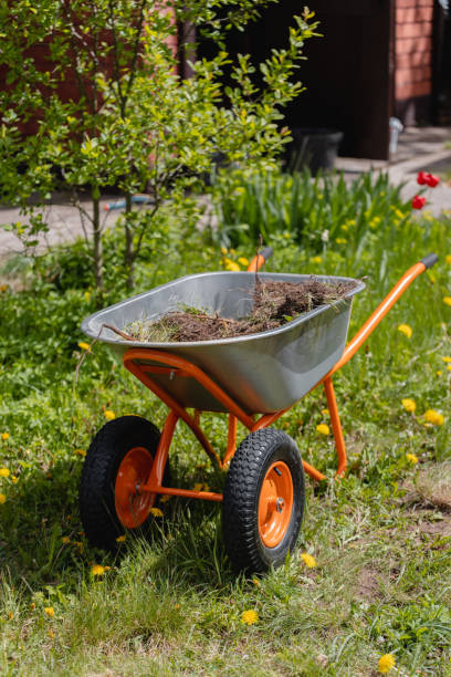 istock Garden wheelbarrow with weeds 2153194230