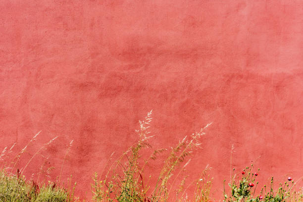 Close-up of textured terracotta wall adorned with wildflowers, including poppies, against a backdrop of lush vegetation.