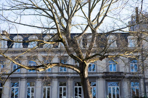 Architecture in the Sablon area of Brussels