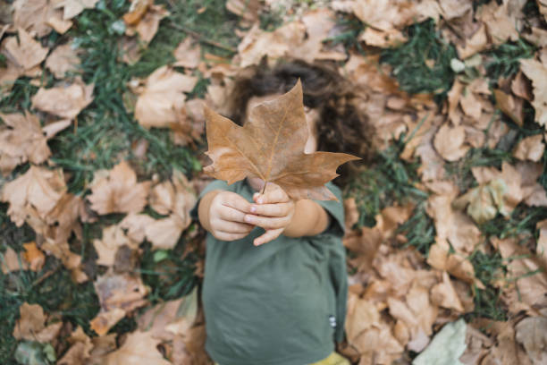istock Happy child playing and showing dry leaf of tree 2153206601